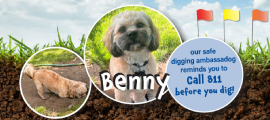 benny, doggone it winner