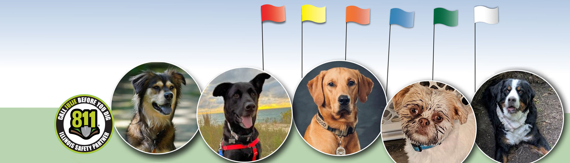 Vote for our safe digging ambassadog