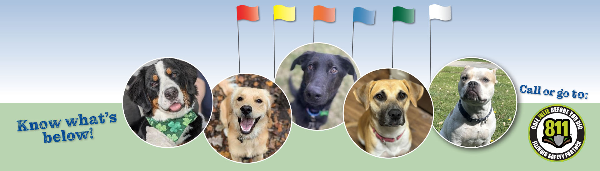 Vote for our safe digging ‘ambassadog’