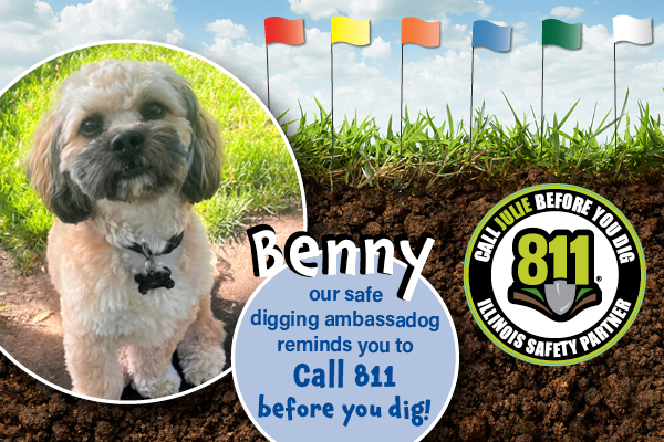 Benny, our 2023 Doggone it photo contest winner