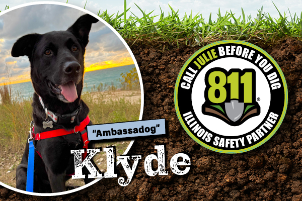 Klyde, our 2026 Doggone it photo contest winner